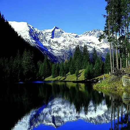 Zontaja Superior 3* 加尔蒂